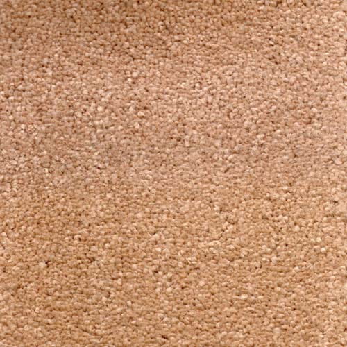 Invicta stain-resistant carpet from Valley Wholesale Carpets showcasing a plush, durable carpet with a textured fiber surface.