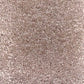 Invicta stain-resistant carpet by Valley Wholesale Carpets with a plush, textured surface in neutral tones.