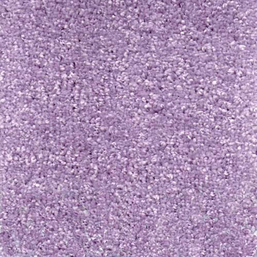 Invicta stain-resistant carpet from Valley Wholesale Carpets, showing a plush, durable carpet in neutral tones.