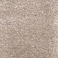 Invicta stain-resistant carpet by Valley Wholesale Carpets with a neutral-toned, plush surface and textured pattern.