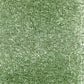 Invicta stain-resistant carpet by Valley Wholesale Carpets, showing a plush, durable carpet with a neutral color and textured surface.