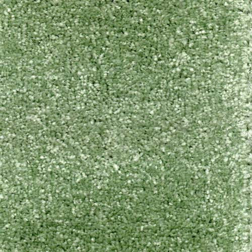 Invicta stain-resistant carpet by Valley Wholesale Carpets, showing a plush, durable carpet with a neutral color and textured surface.