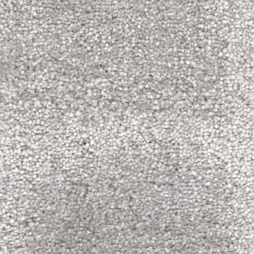 Invicta stain-resistant carpet by Valley Wholesale Carpets, showing a plush, durable carpet with a neutral color and textured surface.