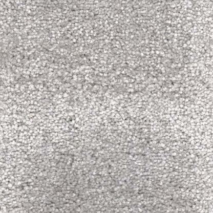 Invicta stain-resistant carpet by Valley Wholesale Carpets, showing a plush, durable carpet with a neutral color and textured surface.