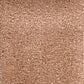 Invicta stain-resistant carpet by Valley Wholesale Carpets featuring a plush, durable fabric in neutral tones.