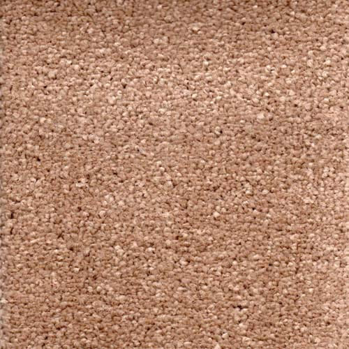Invicta stain-resistant carpet by Valley Wholesale Carpets featuring a plush, durable fabric in neutral tones.