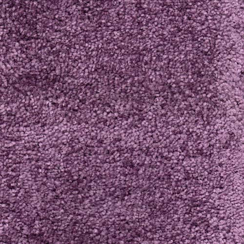 Invicta stain-resistant carpet by Valley Wholesale Carpets, showing a plush, durable carpet with a soft texture and stain-resistant surface.