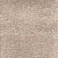 Invicta stain-resistant carpet by Valley Wholesale Carpets featuring a plush, durable carpet in a neutral color.