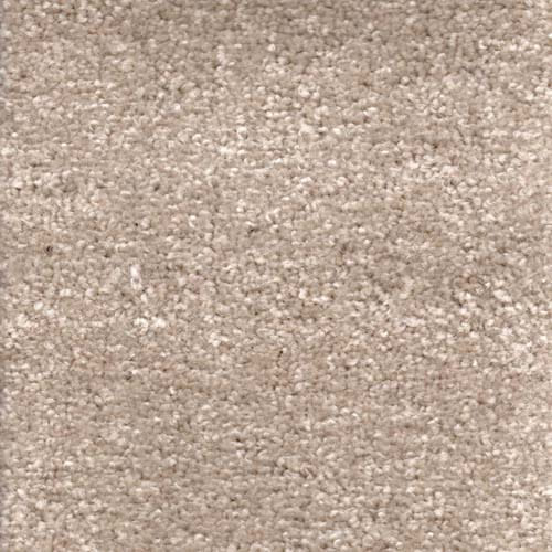 Invicta stain-resistant carpet by Valley Wholesale Carpets featuring a plush, durable carpet in a neutral color.