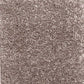Valley Wholesale Carpets Invicta stain-resistant carpet with plush texture and neutral beige color, ideal for living rooms.