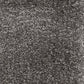 Invicta stain-resistant carpet by Valley Wholesale Carpets, showcasing a plush, durable carpet with a textured surface.