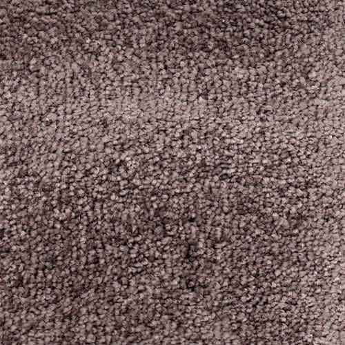 Invicta stain-resistant carpet from Valley Wholesale Carpets showing a soft, durable carpet with stain-resistant fibers.