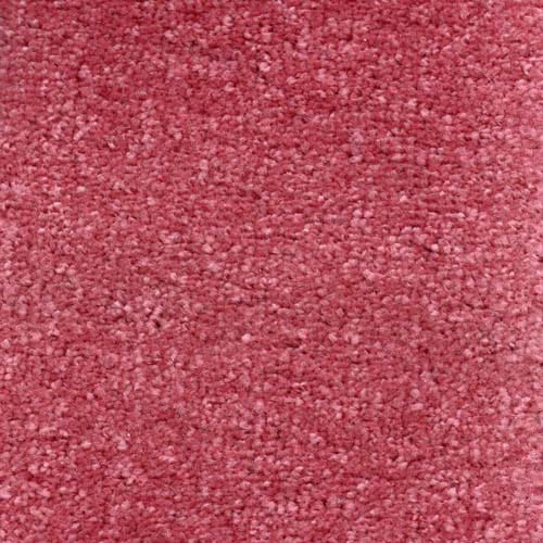 Invicta stain-resistant carpet by Valley Wholesale Carpets, showing plush, durable fabric in a neutral color.