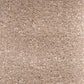Invicta stain-resistant carpet by Valley Wholesale Carpets, showing a plush, durable carpet with a textured, stain-resistant surface.