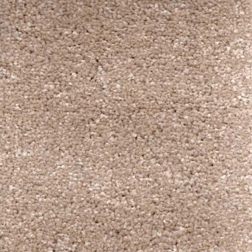 Invicta stain-resistant carpet by Valley Wholesale Carpets, showing a plush, durable carpet with a textured, stain-resistant surface.