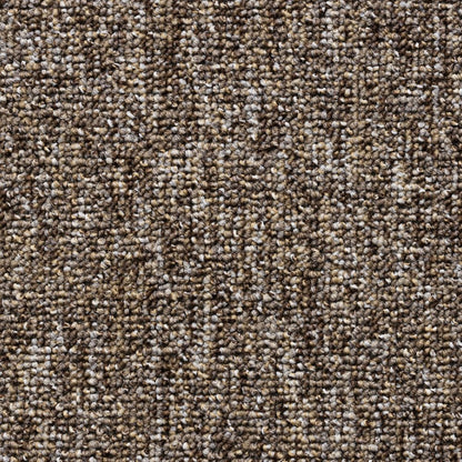 DIY full house deal carpet by Surefit Carpets, showing a plush, beige carpet roll suitable for home installation.