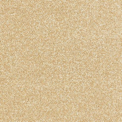 Abingdon Flooring Arena Plus Carpet with textured beige design, soft pile, ideal for living room or bedroom flooring.