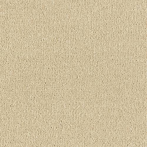 Abingdon Flooring Arena Plus carpet with plush, textured surface in neutral tones for comfortable, stylish home flooring.