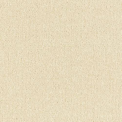 Abingdon Flooring Arena Plus carpet with textured beige pile, soft and durable indoor carpet for living spaces.