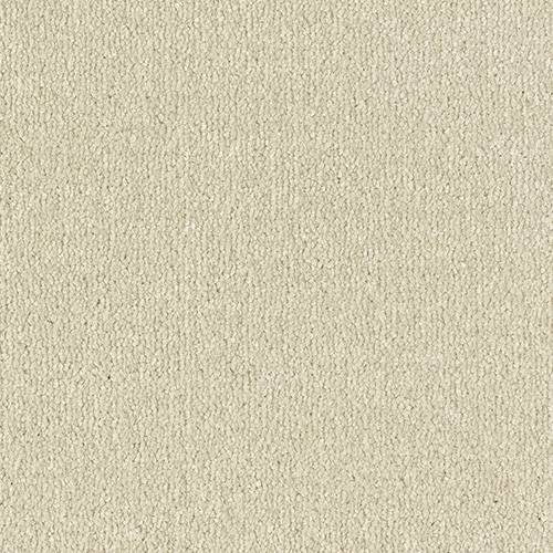 Abingdon Flooring Arena Plus carpet with textured beige design, plush surface, and durable construction for indoor use.