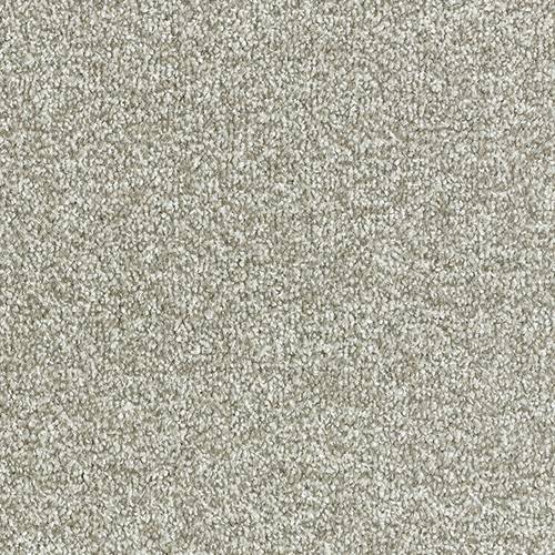 Abingdon Flooring Arena Plus Carpet with plush, textured surface in neutral tones, ideal for living rooms and bedrooms.