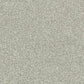 Abingdon Flooring Arena Plus carpet in neutral tones, showing close-up of textured wool blend carpet for living room or bedroom.
