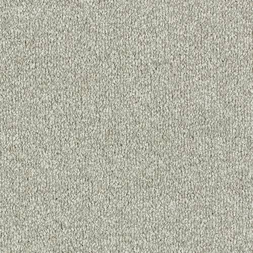 Abingdon Flooring Arena Plus carpet in neutral tones, showing close-up of textured wool blend carpet for living room or bedroom.
