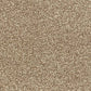 Abingdon Flooring Arena Plus carpet showing a plush, patterned beige carpet with textured surface and decorative border design.