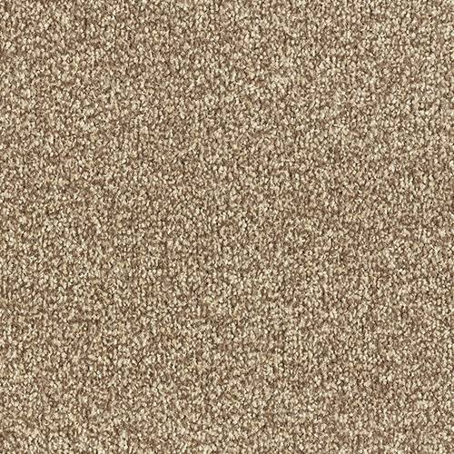 Abingdon Flooring Arena Plus carpet showing a plush, patterned beige carpet with textured surface and decorative border design.