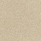Abingdon Flooring Arena Plus Carpet with textured beige design, close-up view showing soft fiber surface and detailed pattern.