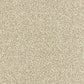 Abingdon Flooring Arena Plus carpet showcasing a plush, textured beige carpet with subtle pattern for modern home interiors.