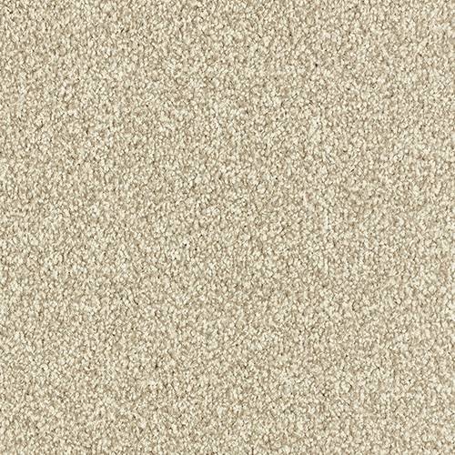 Abingdon Flooring Arena Plus carpet showcasing a plush, textured beige carpet with subtle pattern for modern home interiors.