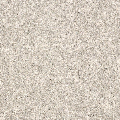 Abingdon Flooring Aristocat carpet showing a plush, patterned textile in neutral tones for a cozy, stylish living space.