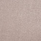 Abingdon Flooring Aristocat carpet with intricate pattern in neutral tones, showcasing soft, plush texture for living room decor.