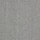 Abingdon Flooring Aristocat carpet with intricate pattern, plush texture, and neutral tones in a close-up view.