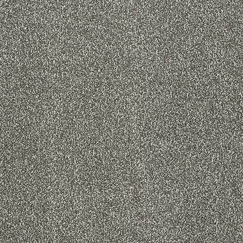 Abingdon Flooring Aristocat carpet with intricate pattern in neutral tones, showcasing plush texture and detailed design.