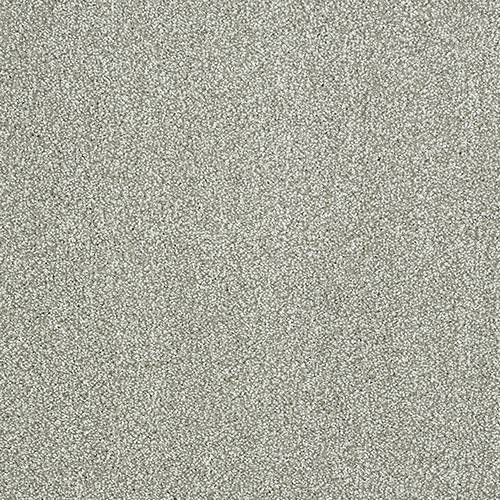 Abingdon Flooring Aristocat carpet with intricate pattern in neutral tones, showcasing soft woven texture and detailed design.