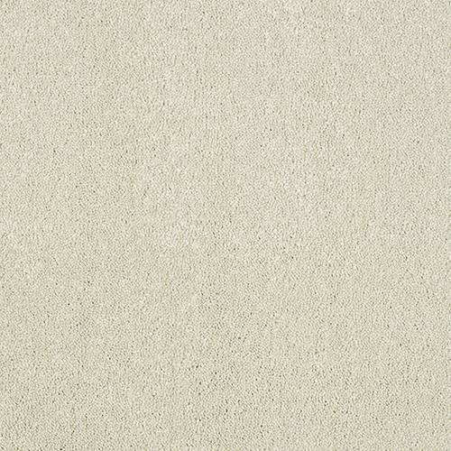 Close-up of the Aristocat Carpet by Abingdon Flooring showing soft, textured carpet fibers in a neutral color.