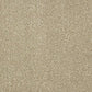 Abingdon Flooring Aristocat carpet with intricate pattern in neutral tones, showcasing plush texture and detailed design.