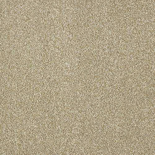 Abingdon Flooring Aristocat carpet with intricate pattern in neutral tones, showcasing plush texture and detailed design.
