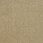 Abingdon Flooring Aristocat Carpet with intricate patterned design and plush texture, suitable for living rooms or bedrooms.