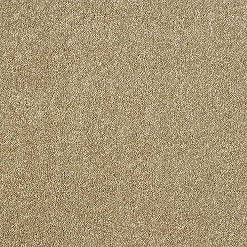 Abingdon Flooring Aristocat Carpet with intricate patterned design and plush texture, suitable for living rooms or bedrooms.