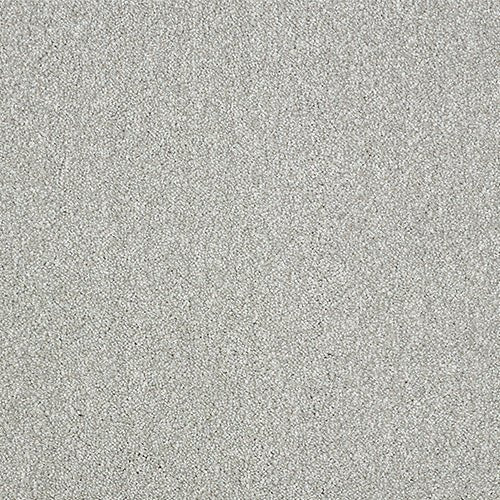 Abingdon Flooring Aristocat carpet with intricate patterned design, soft texture, and vibrant colors for stylish home decor.
