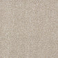 Abingdon Flooring Aristocat carpet showcasing a plush, patterned textile in neutral tones for elegant room decor