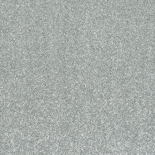 Abingdon Flooring Caress carpet with soft, plush texture in neutral beige color, suitable for living room or bedroom flooring.