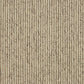 Abingdon Flooring Country Coll Linear Carpet with beige and cream tones, featuring a linear pattern, suitable for modern interior decor.