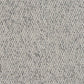Abingdon Flooring Country Coll Weave Carpet with textured woven pattern in neutral tones, showcasing its soft, durable surface.