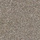 Abingdon Flooring Country Life carpet with colorful, textured floral pattern in a cozy indoor setting.