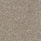 Abingdon Flooring Country Life Carpet with intricate floral pattern and soft texture, ideal for cozy living room flooring.