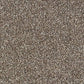Abingdon Flooring Country Life carpet featuring a textured, patterned design in warm earthy tones, ideal for living room or bedroom.